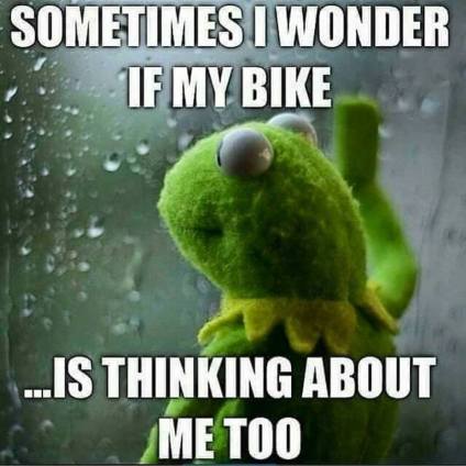 11904715_10153527182719618_4433718829977493998_n