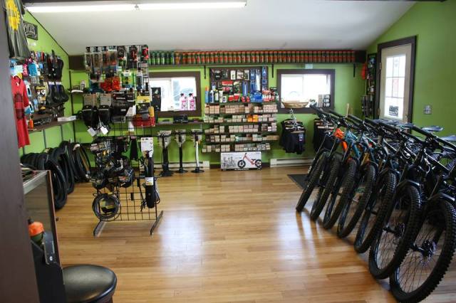 53766646_2272178799500885_1676518042789478400_n